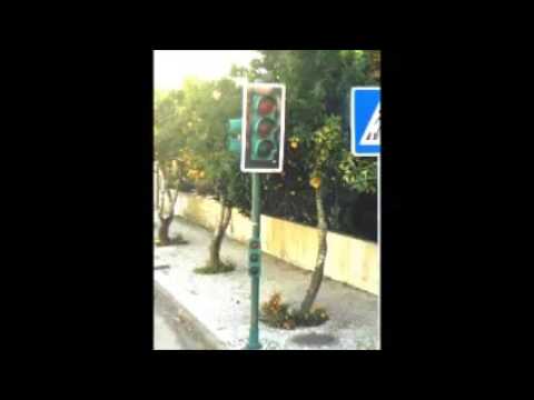 DVBBS vs  Bryan Adams