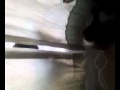 Catfight By The Window