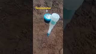 Estimation of soil moisture content