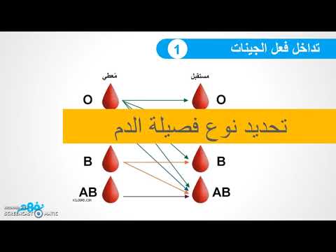 تداخل فعل الجينات - أحياء - للصف الأول الثانوي - الترم الأول - نفهم