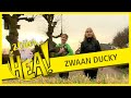 20 JAAR HEA: De zoektocht naar Ducky de zwaan