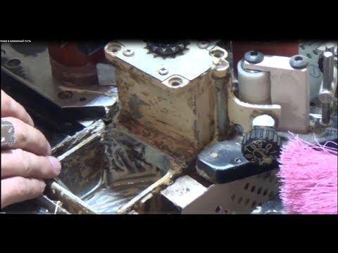 Чистка кромочника и незваный гость