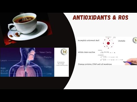 What are Antioxidants & ROS( reactive oxygen species)