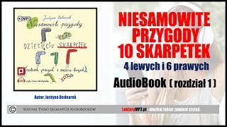 NIESAMOWITE PRZYGODY 10 SKARPETEK Audiobook MP3 ???? Książka dla Dzieci - pobierz ✅