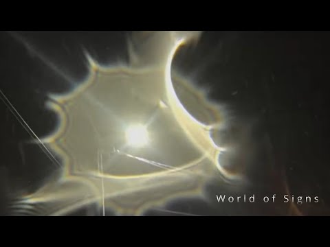 This Is the World Today. February 2026 Part.3