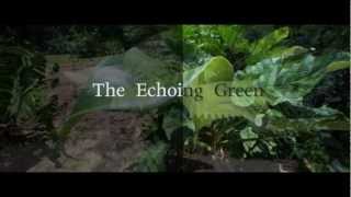 Echoing Green | William Blake | Motion Poem | Maarten Zeehandelaar