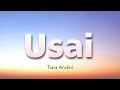 Usai Tiara Andini Lyrics Letra Video