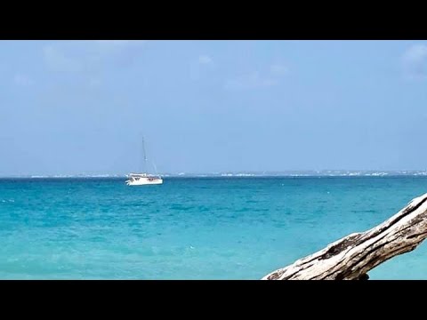 “Come Monday” by Jimmy Buffett on 45