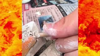 海洋生物発掘します、