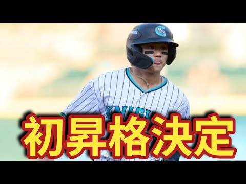 【速報】西田陸浮がメジャー初昇格へ!村上宗隆との日本人共闘に全米注目【打率.347】