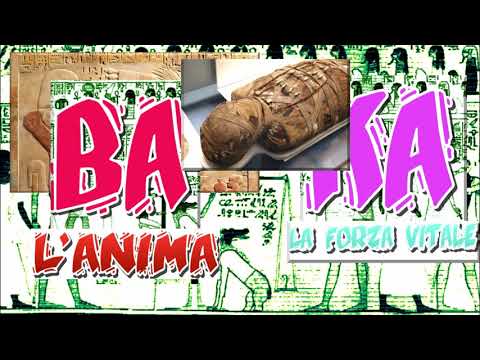 The Ancient Egyptians and the Cult of the Dead