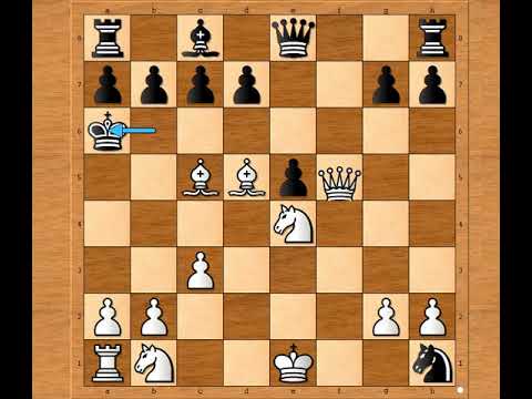 Dovoljno je dozvoliti protivniku prliliku za napad 🔹️🔹️🔹️ MINIFIE vs BERRY # 2101