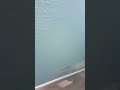When You Play Vr For 6 Hours Again Again