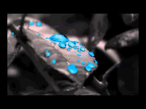 SubtomiK - I Go Hard