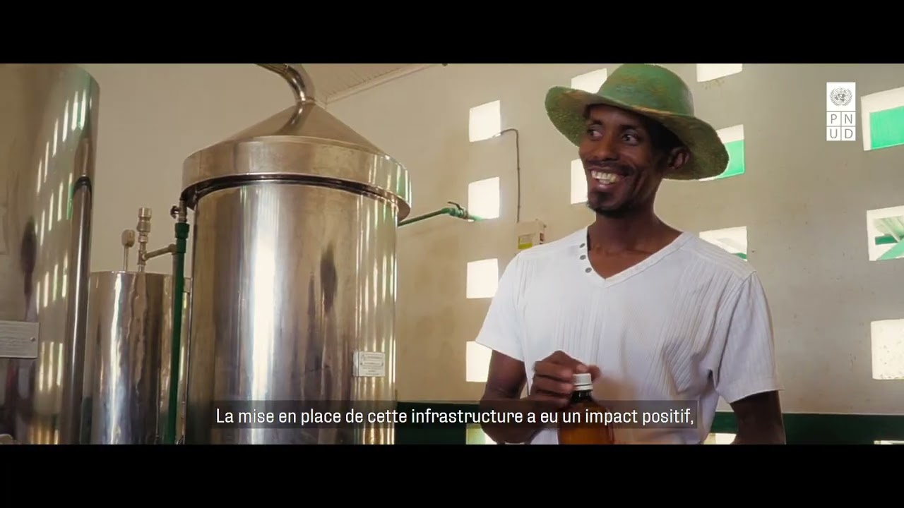 ♻️ Distillation verte : quand le soleil transforme la production d’huiles essentielles