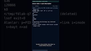 Silinen log neden açık kalır? Linux inode ve descriptor teşhisi