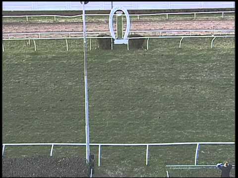 Galoppo 25/01/2015 - 4° corsa