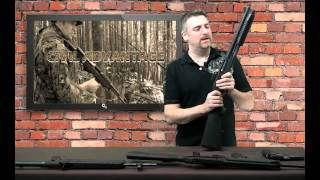 Dominion Arms Grizzly Review