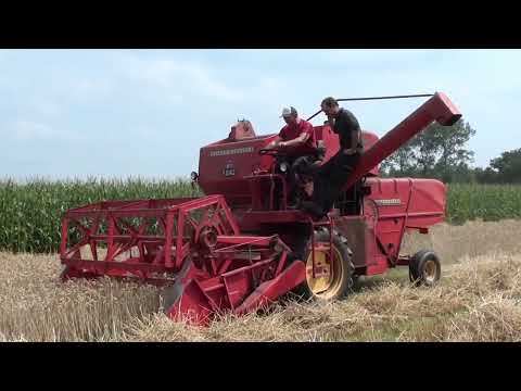 Hobbyist Van Canneyt - Kleit - Massey Ferguson 87 - Massey Ferguson 65