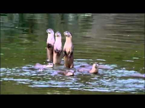 Snoop Dog narrates Planet Earth