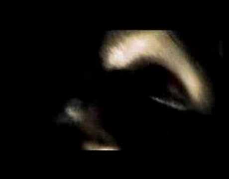 alibi montana hypocrisie