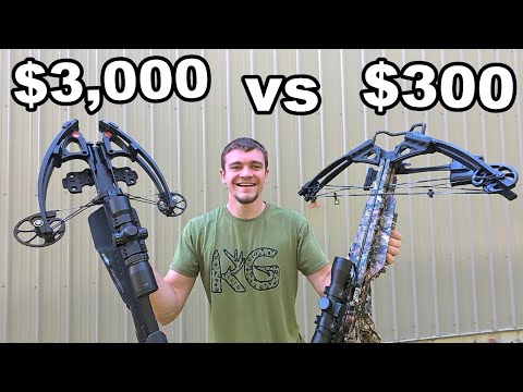 Cheap vs Expensive Crossbows for Hunting!
