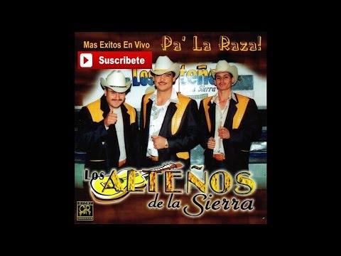 Los Altenos de la Sierra - Demetrio el Asaltante (En Vivo)