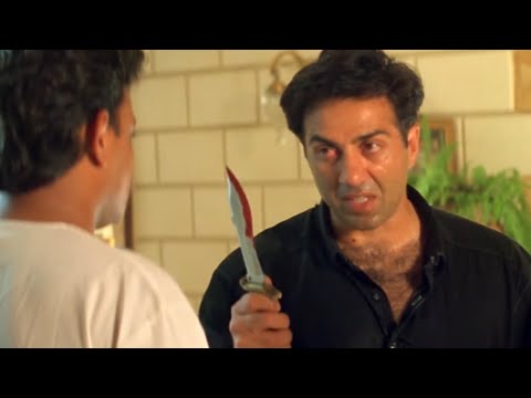 Sunny Deol Takes Revenge Of His Father's Death | Salaakhen | Bollywood Action Scene