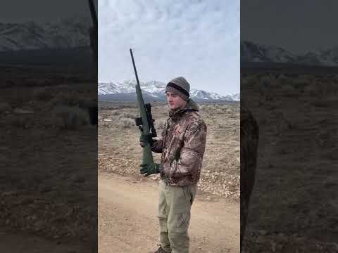 Overview of Ruger's Scoped 10/22 Model 32003 with New Features