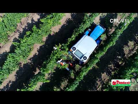 Écimeuse pour vignoble avec barres à couteaux - CRV VISION-1 L - Châssis bas et bilame_1