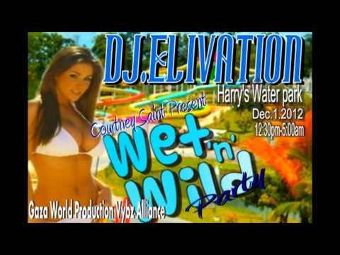 Wet 'n' Wild Mix.1 (Dj.EliVation)