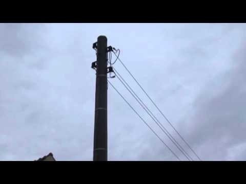 Leistungsrück- und Ausbau in Schwarzkollm - ELSTERWELLE