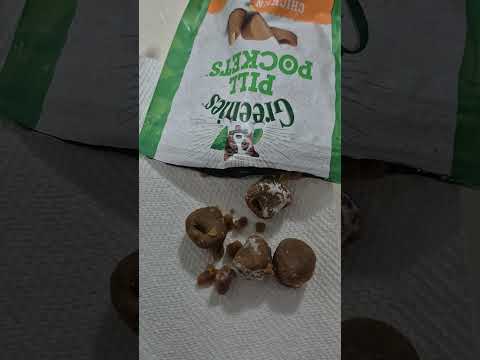 Greenies - My pill pockets got moldy.