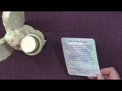 A Little Angel Message ✨ Your Daily Angel Message ✨ What the Angels want you to know 💖 #angelmessage