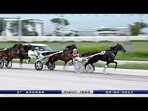 Aversa trotto 9 Aprile 2022 - 3° Corsa