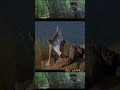 Aararum Kaanathe Aaromal Thaimulla Chandrolsavam Whatsapp Status