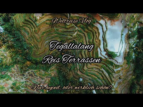 Tegallalang Reis Terrassen - BALI / Nur ein Hype oder WIRKLICH schön? | Weltreise Vlog 32