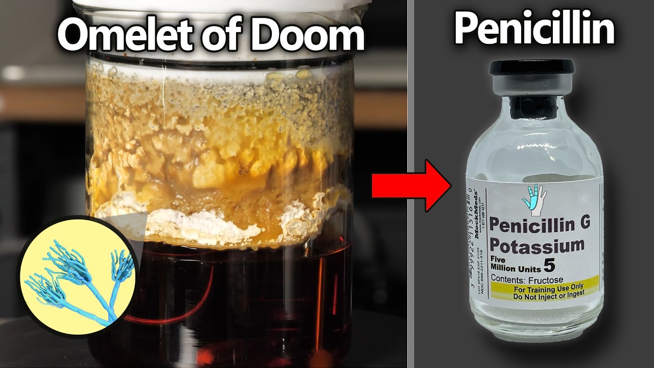 I Grew Real Penicillin from MOLD