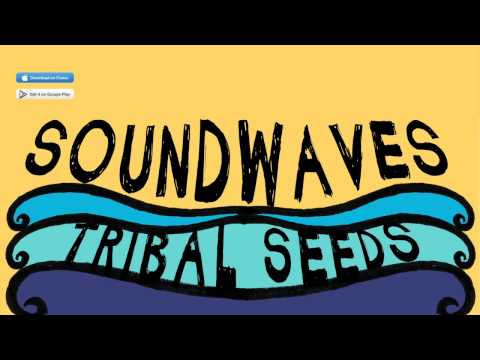 Tribal Seeds - In Your Eyes [OFFICIAL AUDIO]