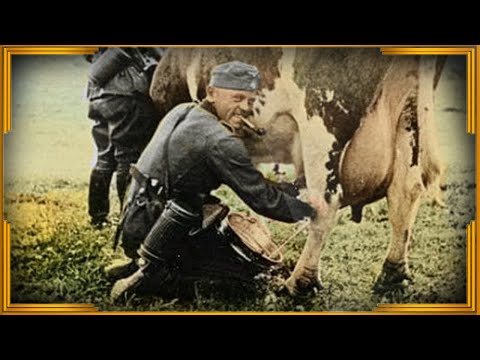 Гельмут Пабст