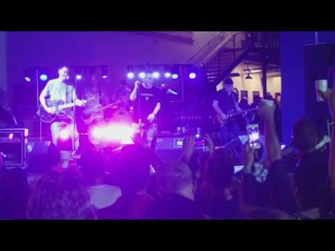 The Connells  - 74/75 - Live at Tradition Brewing Company