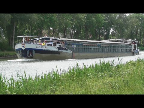 GMS Seestern  04700860