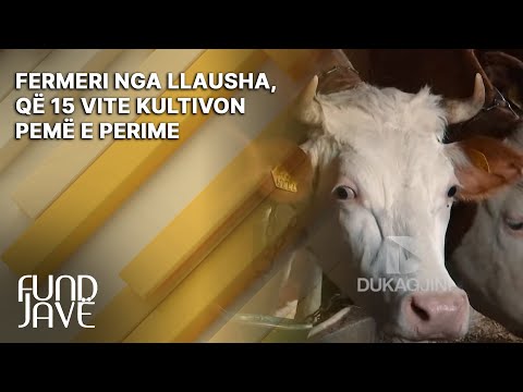 Fermeri nga Llausha, që 15 vite kultivon pemë e perime