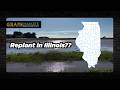 HEAVY Rain in Illinois + Corn/Wheat RALLY!