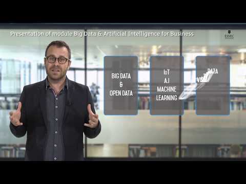 Online executive Certificate: Big Data & Artificial Intelligence for ...