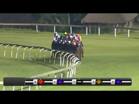 Ikigai - 2020 Gauteng Guineas