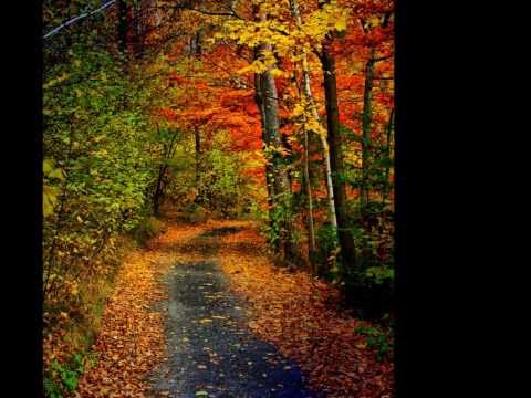 Michał Lorenc "Całopalenie2"