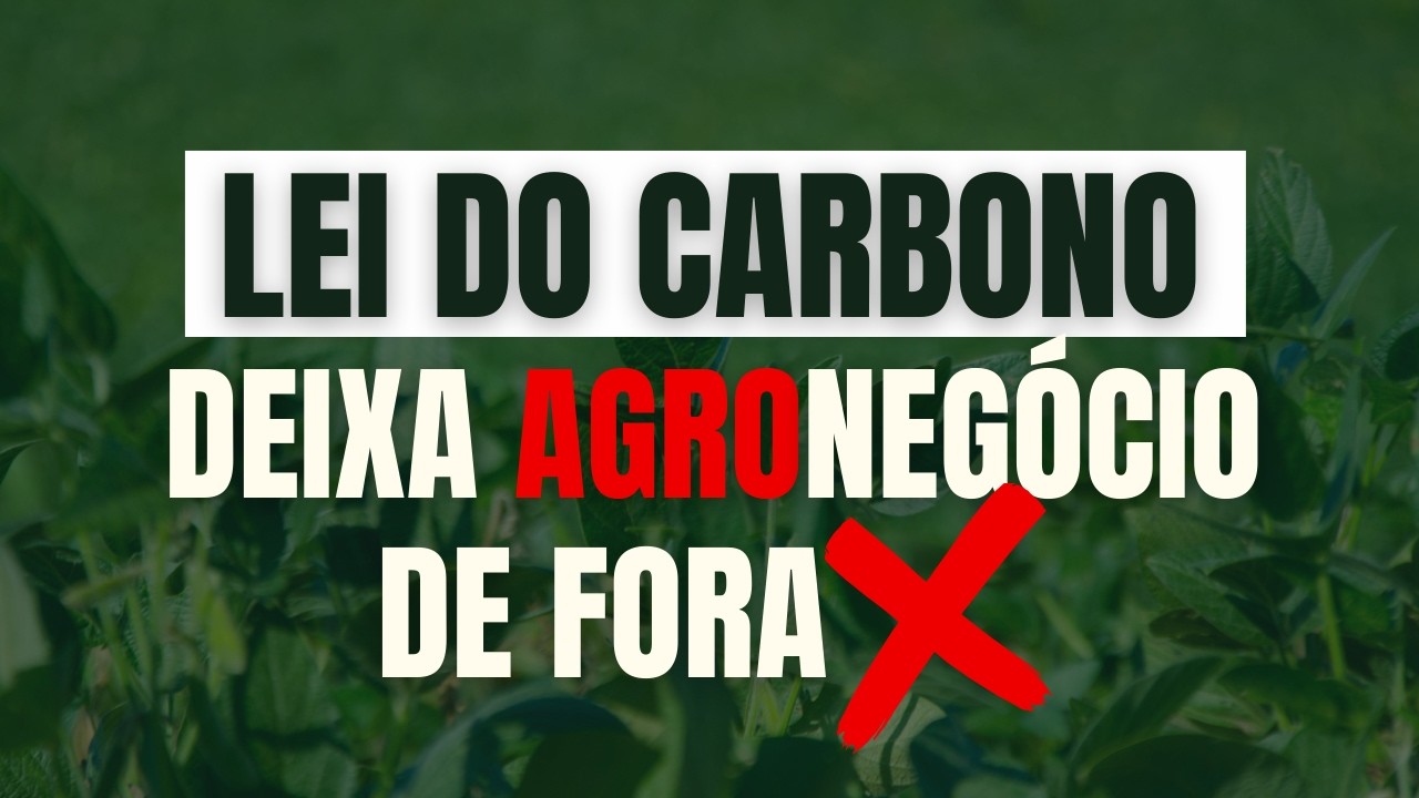 O Agronegócio ficou de fora da lei que regula o Mercado de Créditos de Carbono? Descubra agora!