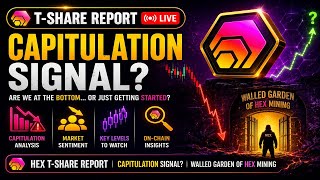 HEX T-Share Report | Capitulation Signal? | Walled Garden of HEX Mining