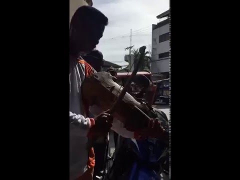 廃材を使って奏でる極上のバイオリン｜ドゥマゲテ